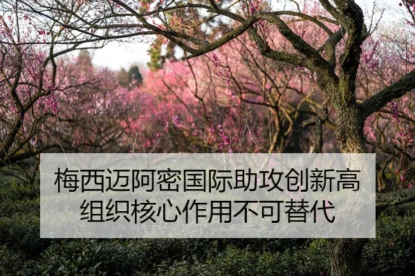 梅西迈阿密国际助攻创新高 组织核心作用不可替代